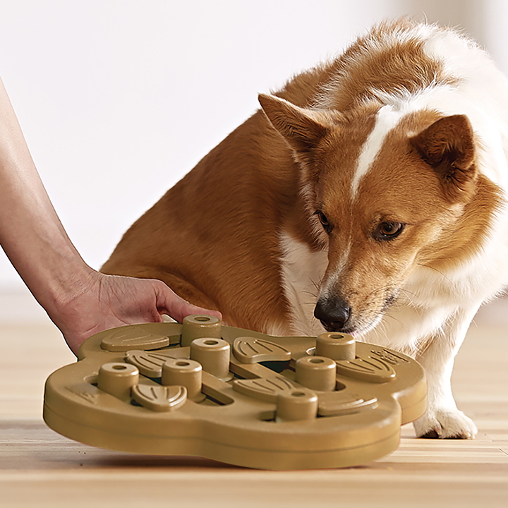 foods to hide dog pills in dog treats dog hide nslide composite new nina ottosson dog toys shop foods to hide dog pills in dog treats dog hide nslide composite new nina ottosson dog toys shop